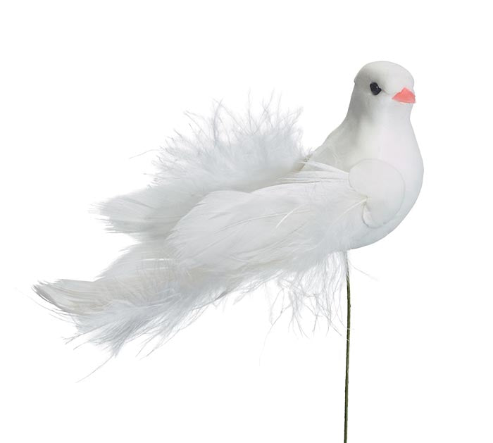 Pick Dove Long Feathers