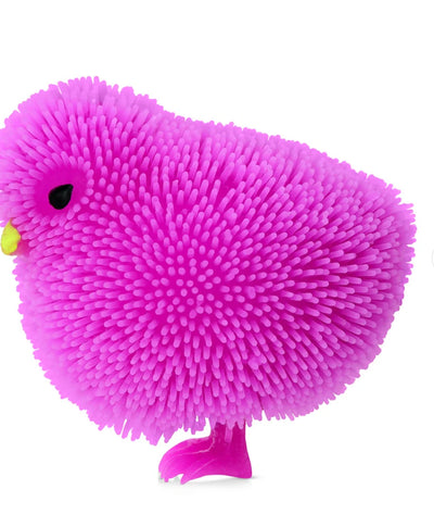 Light-Up Chick Toys