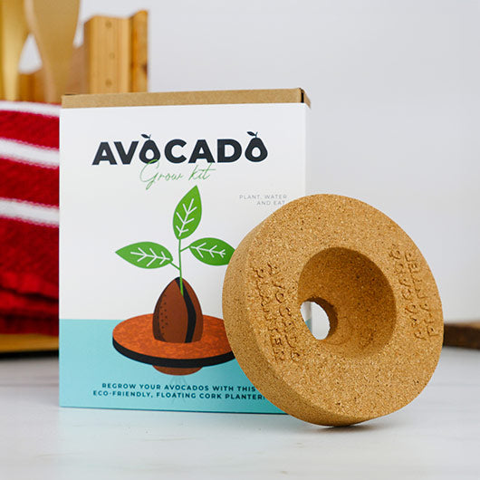 Avocado Grow Kit