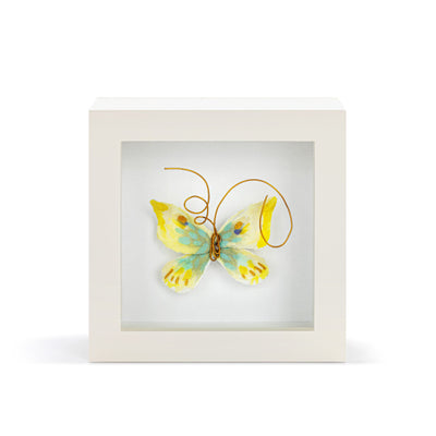 Butterfly Shadow Box