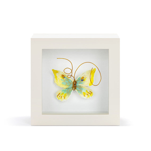 Butterfly Shadow Box