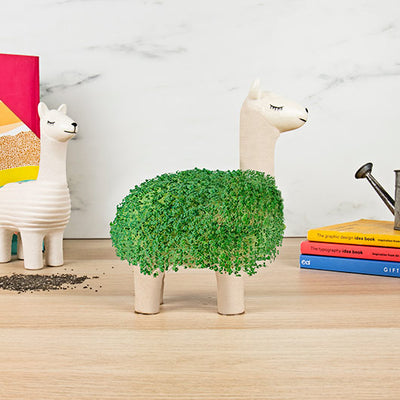 Llama Planter w/Seeds (Stoneware)