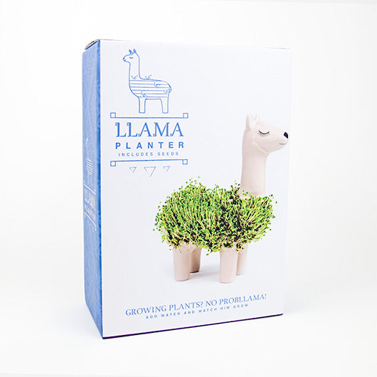 Llama Planter w/Seeds (Stoneware)