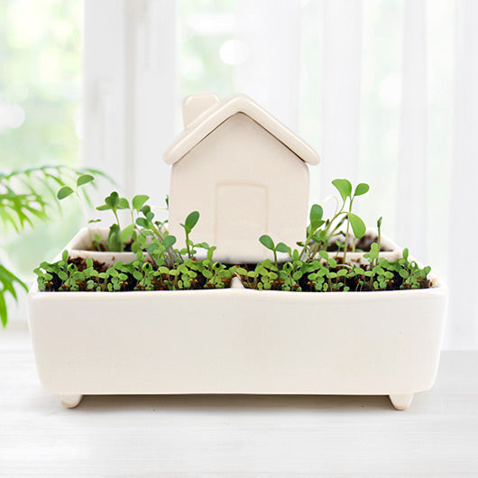 Self Watering House-Herb Garden