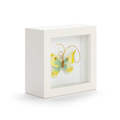 Butterfly Shadow Box